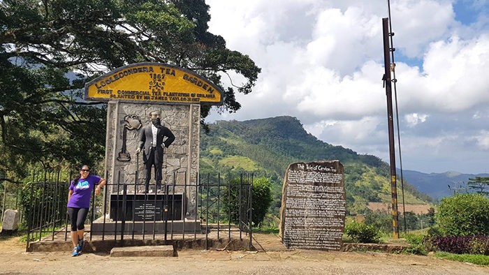 Tea Plantation Visit